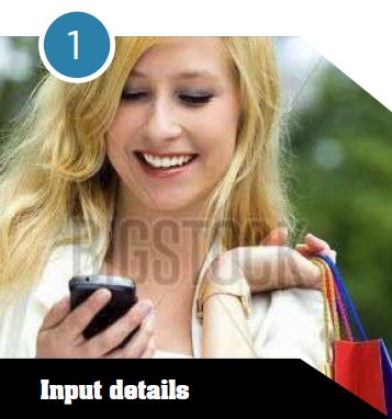 Input Details